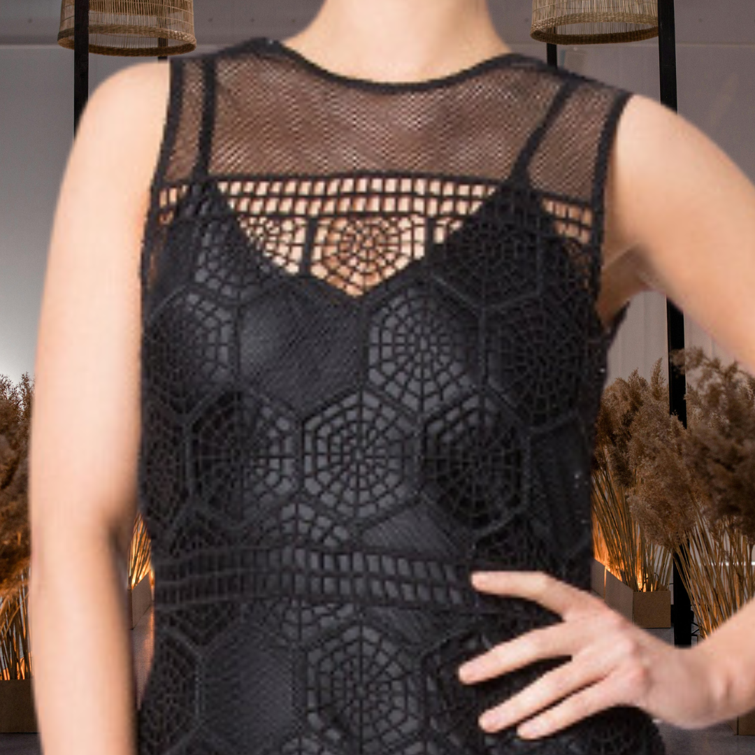 Mesh Panel Embroidered Dress with Removable Lining Slip